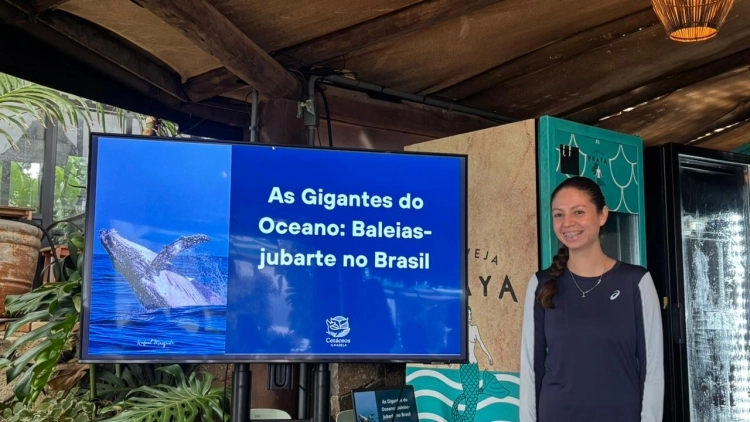 Imagem de vitrine